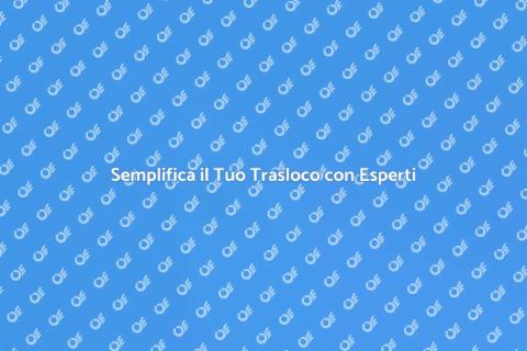 Traslochi Facili con una Ditta Professionale