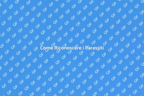 Diagnosticare Parassiti in Casa