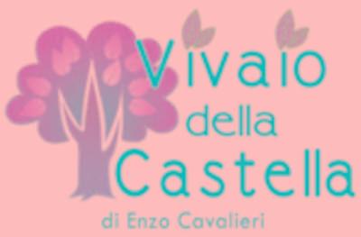 Vivaio della Castella di Cavalieri Enzo  - Foto 1