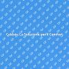 Caldaia e Comfort: Guida all'Installazione