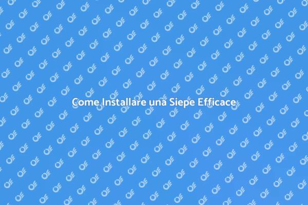 Siepe: Privacy e Stile per il Giardino