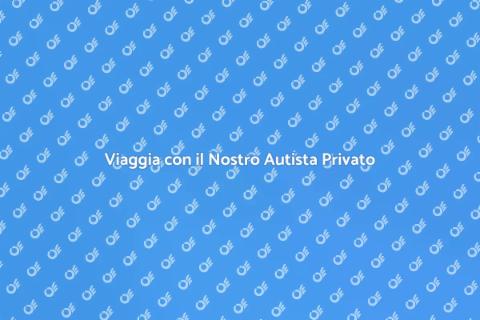 Servizio Autista Privato per Escursioni