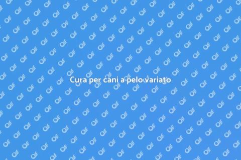 Toelettatura cani pelo variato