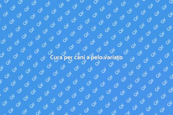 Toelettatura: un bisogno per i cani
