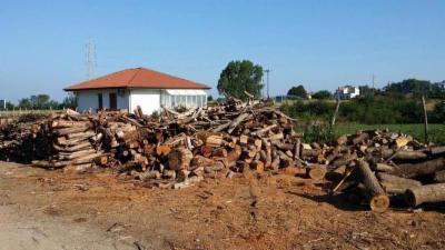 Impresa Boschiva di Lettieri Esterina  - Foto 2