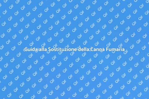 Sostituzione Canna Fumaria Sicura