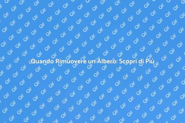 Rimozione Alberi: Cosa Sapere