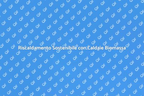 Caldaie a Biomassa Certificate per Casa