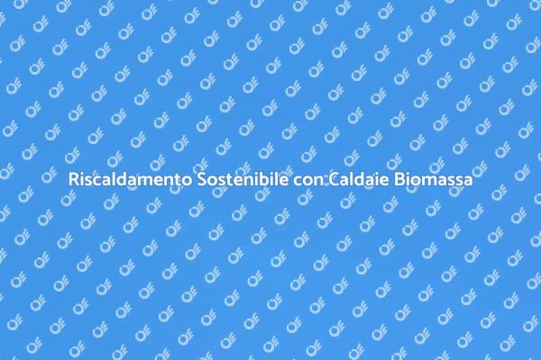 Caldaie a Biomassa: Scegli il Futuro Verde