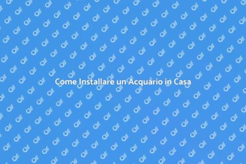 Installazione Acquario: Guida Pratica