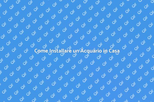 Guida all'Installazione dell'Acquario