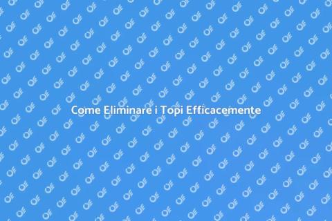 Disinfestare i Topi in Casa