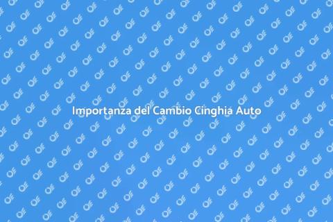 Cambiare Cinghia di Distribuzione