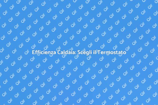 Scegli il Giusto Termostato per Te