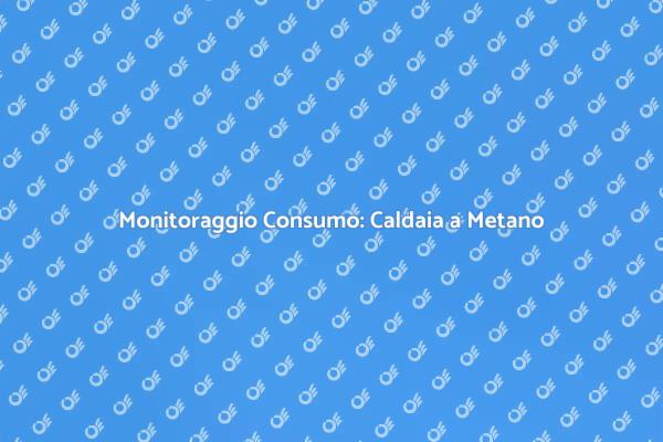 Caldaia a Metano: Efficienza Energetica