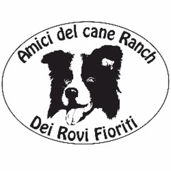 Amici del Cane Ranch  - Foto 1
