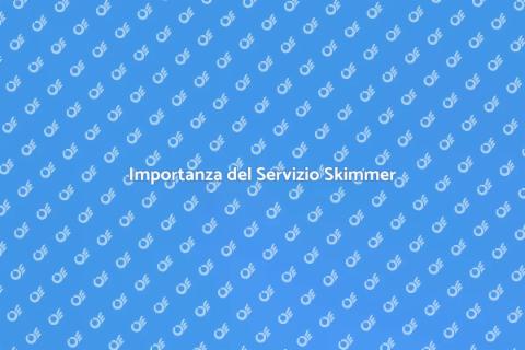 Manutenzione Skimmer Professionale