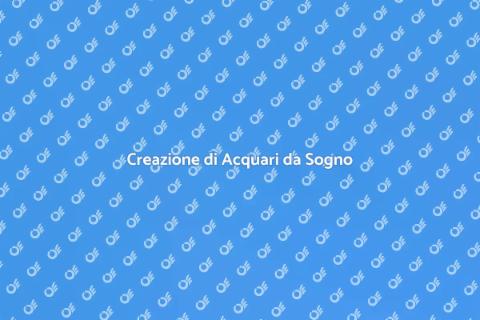 Consulenza per Acquari Sottomarini