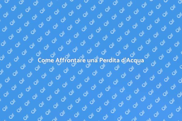 Prevenire i Danni da Perdite d'Acqua