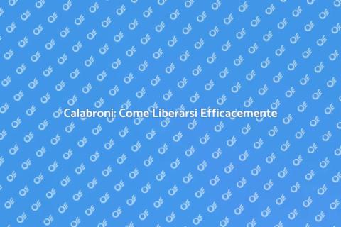 Disinfestare Calabroni: Guida Pratica