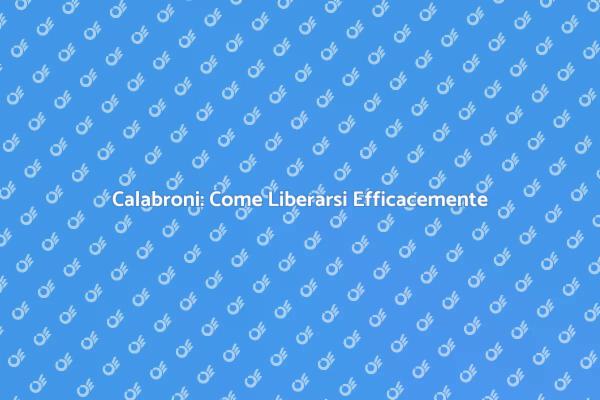 Come Disinfestare i Calabroni
