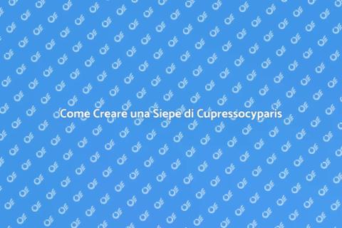 Progettare una Siepe di Cupressocyparis