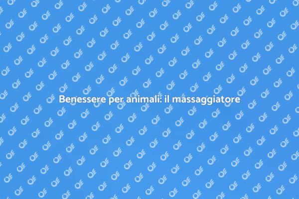 Massaggi per il benessere degli animali