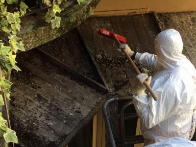 Atrr Multiservizi Derattizzazioni e Disinfestazioni  - Foto 5