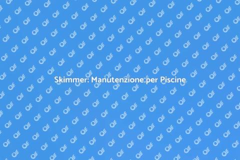 Manutenzione Skimmer Preventiva Piscine