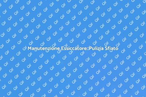 Pulizia Sfiato Essiccatore: Guida Essenziale