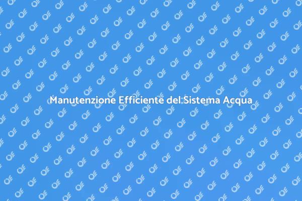 Manutenzione del Sistema di Trattamento Acqua