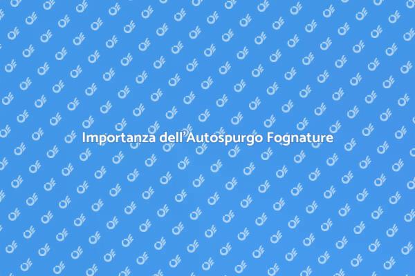 Autospurgo: Essenziale per la Casa