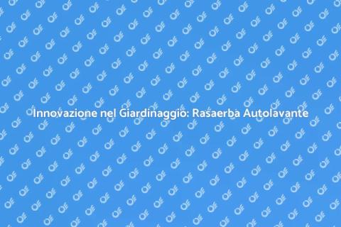 Rasaerba Autolavante per il Giardino