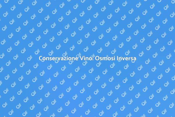 Ottimizza la Conservazione del Vino