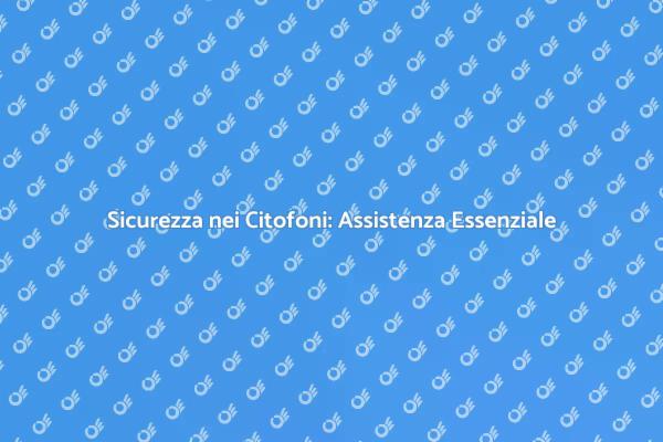 Citofoni e Sicurezza: Assistenza Necessaria