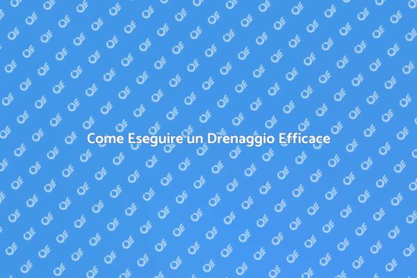 Tecniche di Drenaggio per la Casa