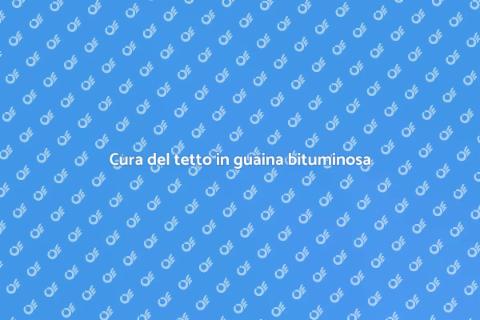 Manutenzione tetto in guaina bituminosa