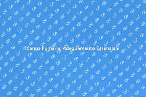 Adeguamento Canna Fumaria Termocamino