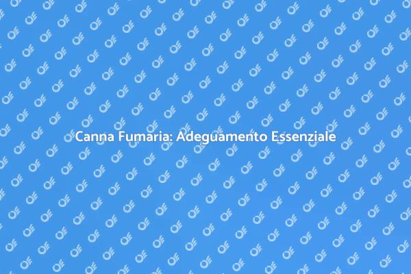Canna Fumaria e Termocamino: Cosa Sapere