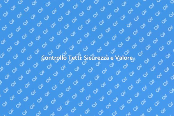 Ispezionare i Tetti: Un Passo Fondamentale