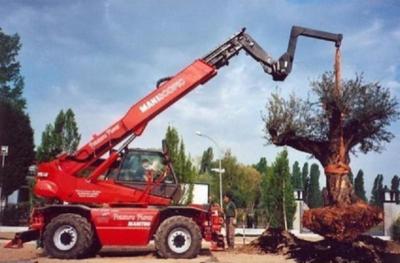 Agri Garden  - Foto 5