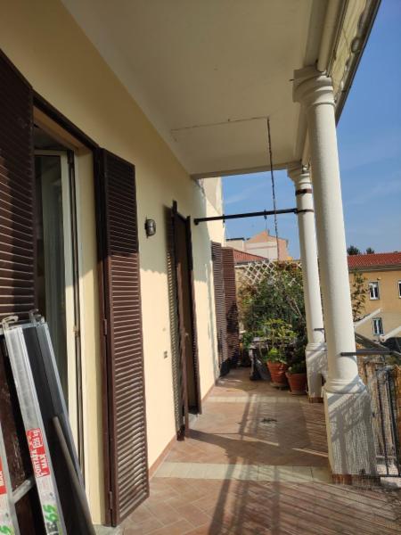 Macchi Nicolò  - Foto 7