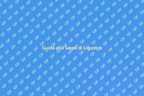 Coltivare una Siepe di Ligustro