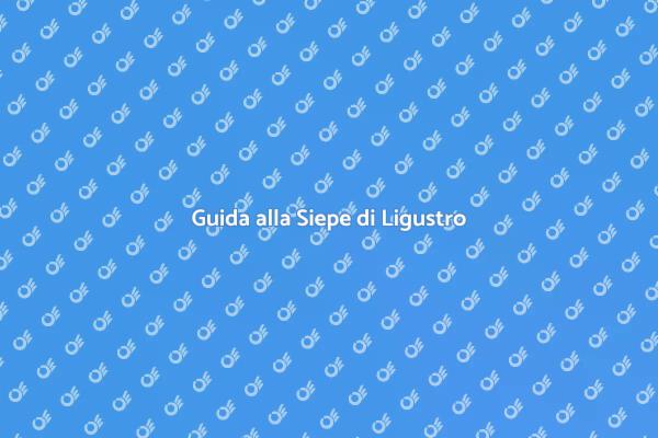 Coltivazione della Siepe di Ligustro