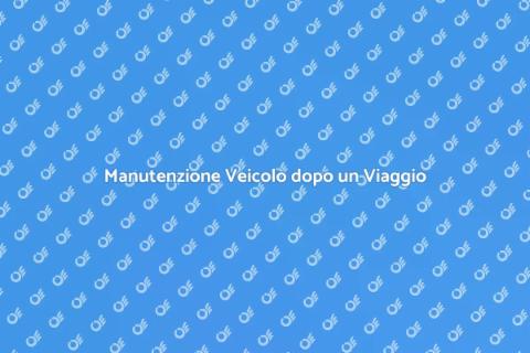 Pulizia Veicolo dopo un Lungo Viaggio