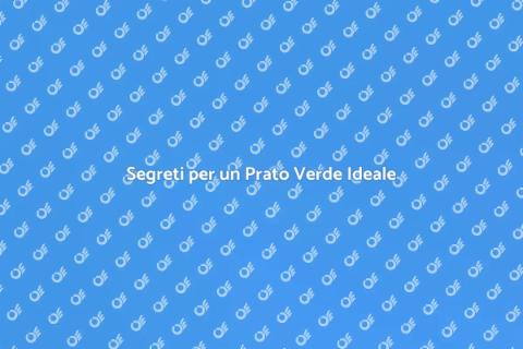 Prato Perfetto: Crescita e Cura