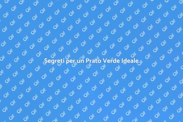 Guida per un Prato Sano e Rigoglioso