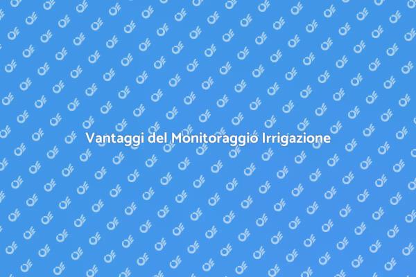 Irrigazione Smart: Risparmia Acqua