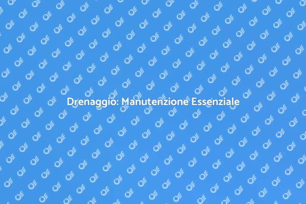 Proteggi la Tua Casa con Drenaggio Efficiente