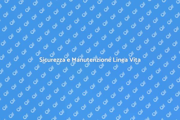 Manutenzione Sicura della Linea Vita